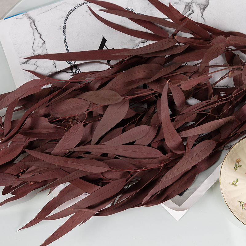 기장 과일 잎 빨강 100g