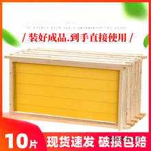 蜂巢八千巢础意蜂成品全套带框蜜蜂巢脾蜂箱养蜂工具