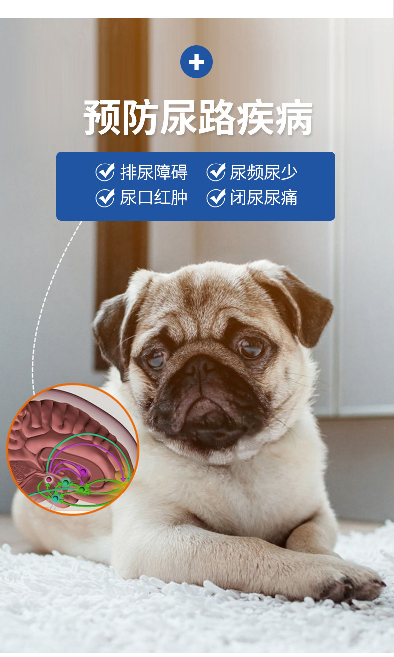 宠物营养补充剂_12