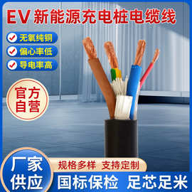 新能源充电桩用电缆7kw11kw新能源机器人充电桩汽车启动电源电缆