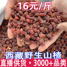西藏波密小山楂干果正宗新货无硫晒干山楂片泡水2