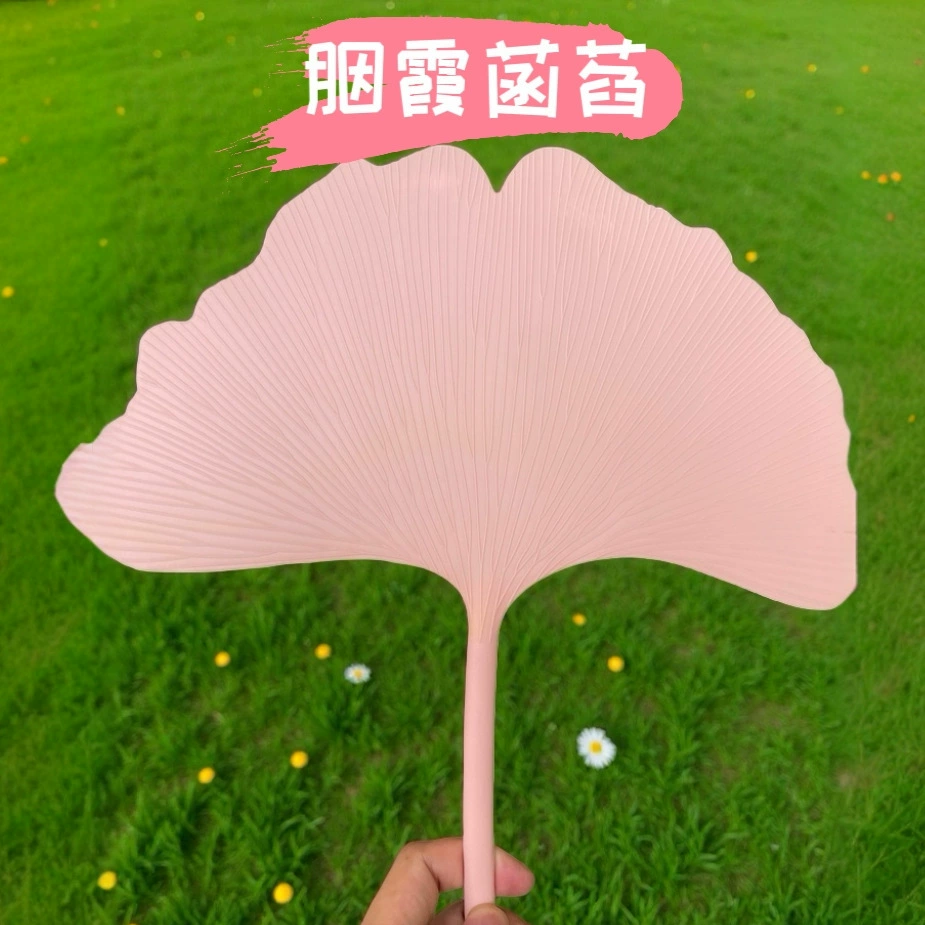 fans are durable and high-value plastics in summer, cool and must-have students' literary style round fan Ginkgo leaf fan