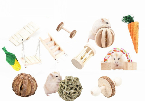 Amazon Wood Pet Toys for Hamsters, Rabbits, Guinea Pigs, Parrots - Play and Chewing Supplies Set