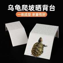 乌龟晒背台水陆缸爬台乌龟箱爬坡躲避陆龟塑料爬宠晒背乘凉