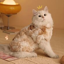 ���ȿɐ�؈���·�ë���׶�����ů������ż�Lë�{������С�����q��