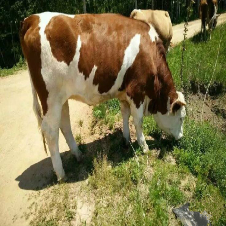 3b477ab886ac6dd2673d59b930063f