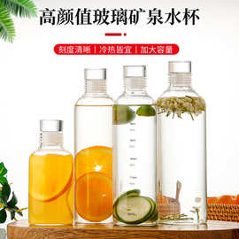 批发冷萃茶瓶子大容量时间刻度杯高颜值耐热玻璃杯防爆冷泡花茶杯