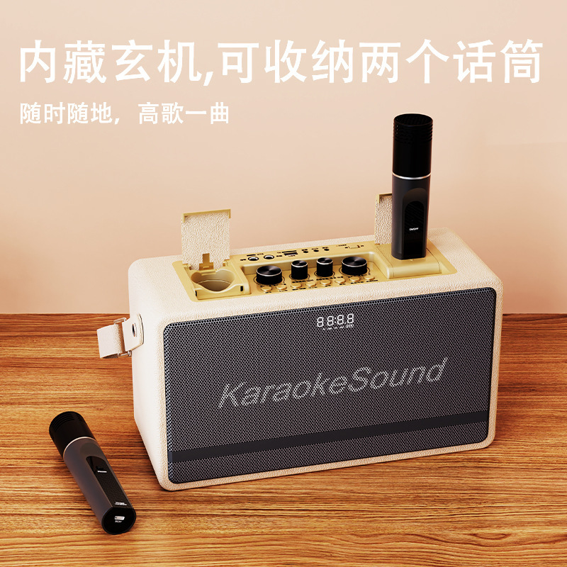 Home Theater Karaoke All-In-One Singing Speaker Outdoor Bluetooth Speaker Wireless Device with Dual Microphones