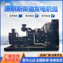 ȫ�Ԅ�50KW����˹�l늙C�M�o�����Ͱl늙C�����O��ȫ�~�oˢ늙C