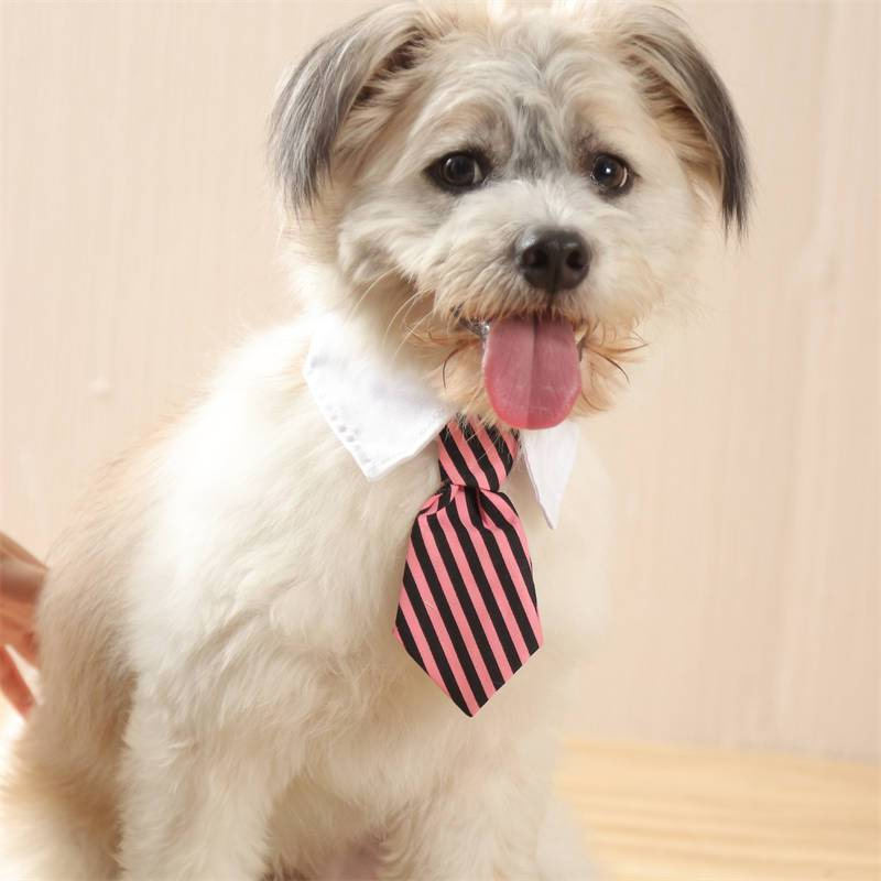 반려동물 스트라이프 넥타이 보타이 스카프 강아지 고양이 목장식 크리스