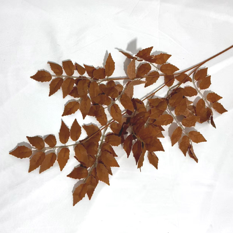 feuille de trompette
