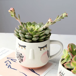 马克杯;咖啡杯;碗