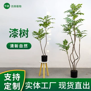 新款仿真绿植漆木树室内客厅盆栽装饰摆件户外拍摄植物道具仿真