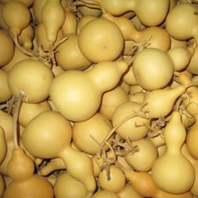 ��Ȼ�������J������J������J��ˇƷ�[�� ��Ƥ���J�ؔ����u