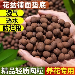 Ceramsite Pad Special for Flower Cultivation Fleshy Nutrient Soil Flower Pot Flower Backfill Fish Tank Hydroponic Pavement Volcanic Stone Granules