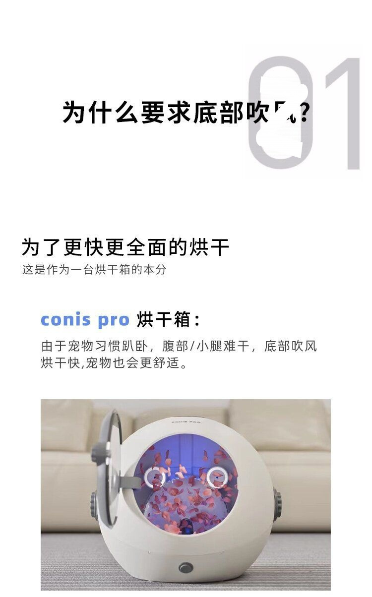 ff310c54-c32a-4f43-bd2e-ef780a08f2a3.jpe