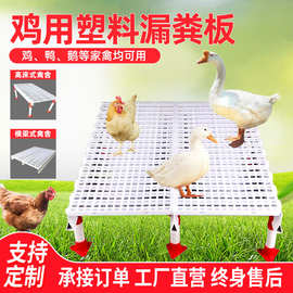 鸡用漏粪板塑料漏粪板鸡鸭鹅鸽舍漏粪网格片鸡舍专用地板养鸡设备