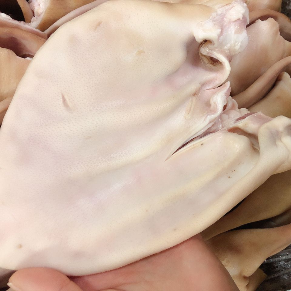 耳朵新鲜冷冻猪耳朵大根耳朵猪耳片生猪耳朵带冰带箱19斤带根耳片
