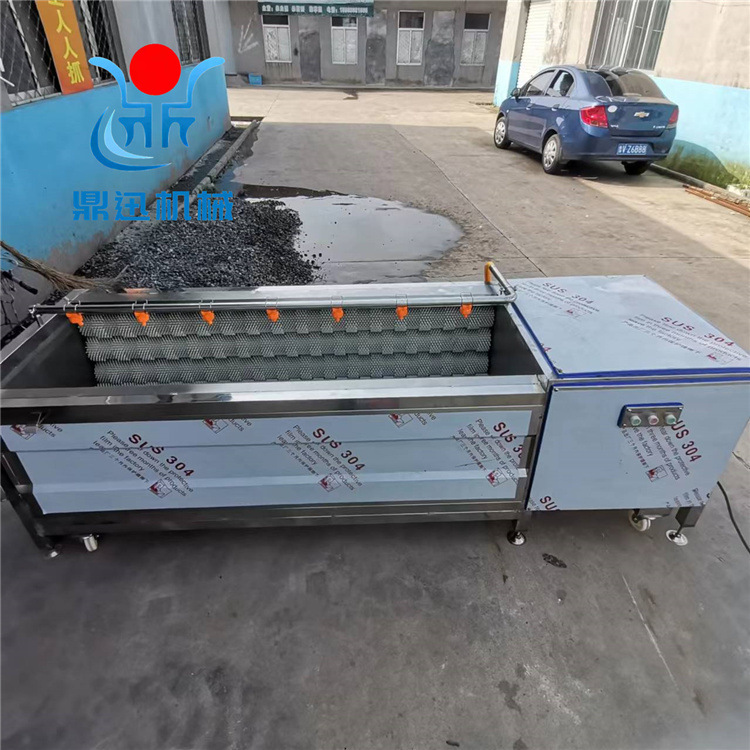 毛辊清洗机 中药材清洗脱皮机 毛刷清洗机 一机多用操作简单