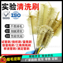 �������g����ϴëˢ��ԇ��ˢ�ܵ�ëˢֲë�t����ϴˢ�坍ˢ�^