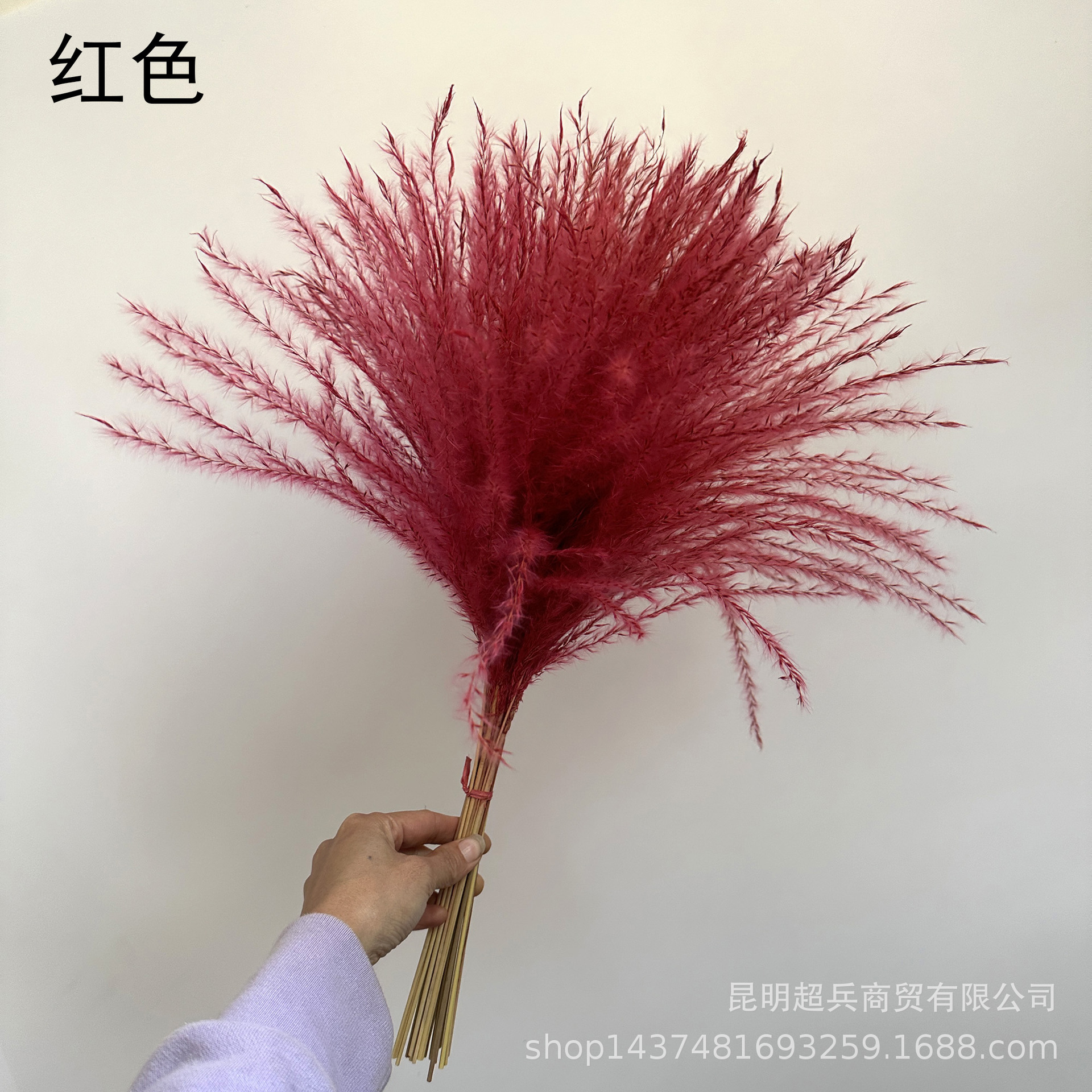 微信图片_20250310134612.jpg