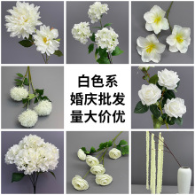��ɫϵ��c���滨�Ļ�Y�õ�피ٻ���̨���Ż�·���廨�Ƶ��b�