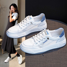 �W��С��ЬŮ2026�ļ��¿���Ƥ�W�t͸��ƽ�׌W������ܛ�����e��Ь