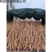 ���N�����x����ľ횸���֦��֦�lˮ�Ǽܷ��~���쾰�ײ��b���]