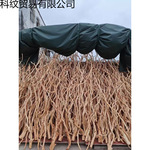 杜鹃根精选根沉木须根粗枝细枝条水骨架粉鱼缸造景套餐装包邮