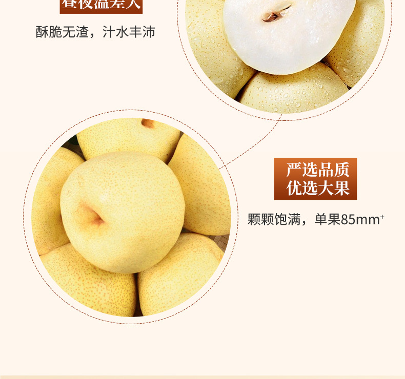 Lo Quat & Pear Herbal Paste (Pipa Qiuli Gao) — 10g Sachets, 100g Box quality and texture