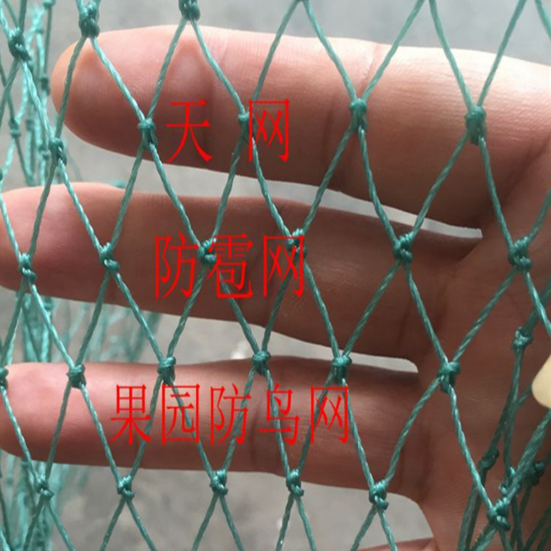 果园防鸟网 尼龙防鸟网 防雹网爬藤网青蛙养殖天网|ru