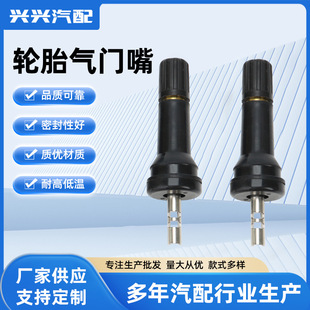 TPMS-6��՚��T��o��̥��܇�o��̥���T����܇̥�����T��