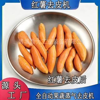 全自动蒸汽去皮机 果蔬加工厂红薯西红柿脱皮配套食品机械流水线