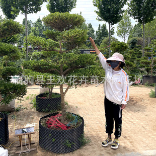 �����S�����͘�@�־��^�^�pֲ�����͘�ͥԺ�e���G���L�����S���