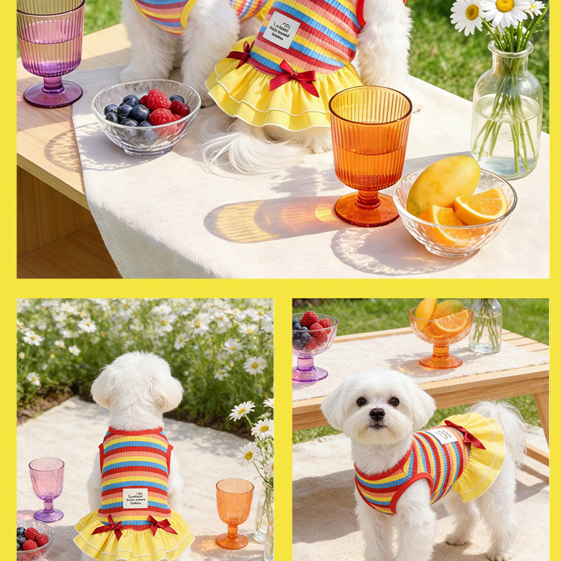 Rainbow Striped Sun Protective Dog Dress For Summer Camping_voghion.com