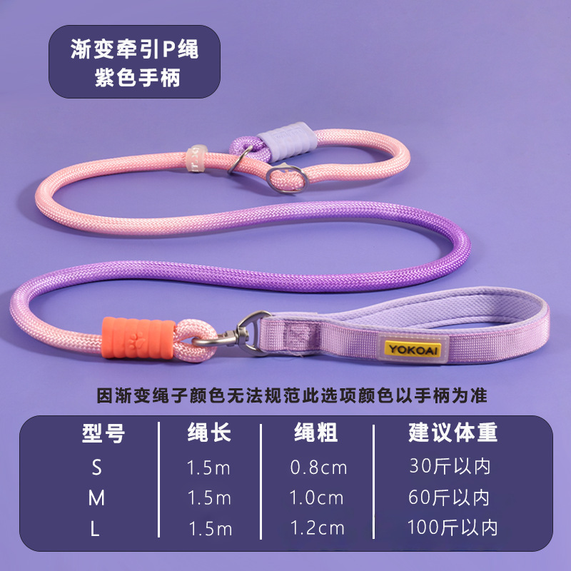 防爆冲防缠绕遛狗绳狗狗牵引p链狗绳P绳训犬中小型犬专用宠物用品|undefined