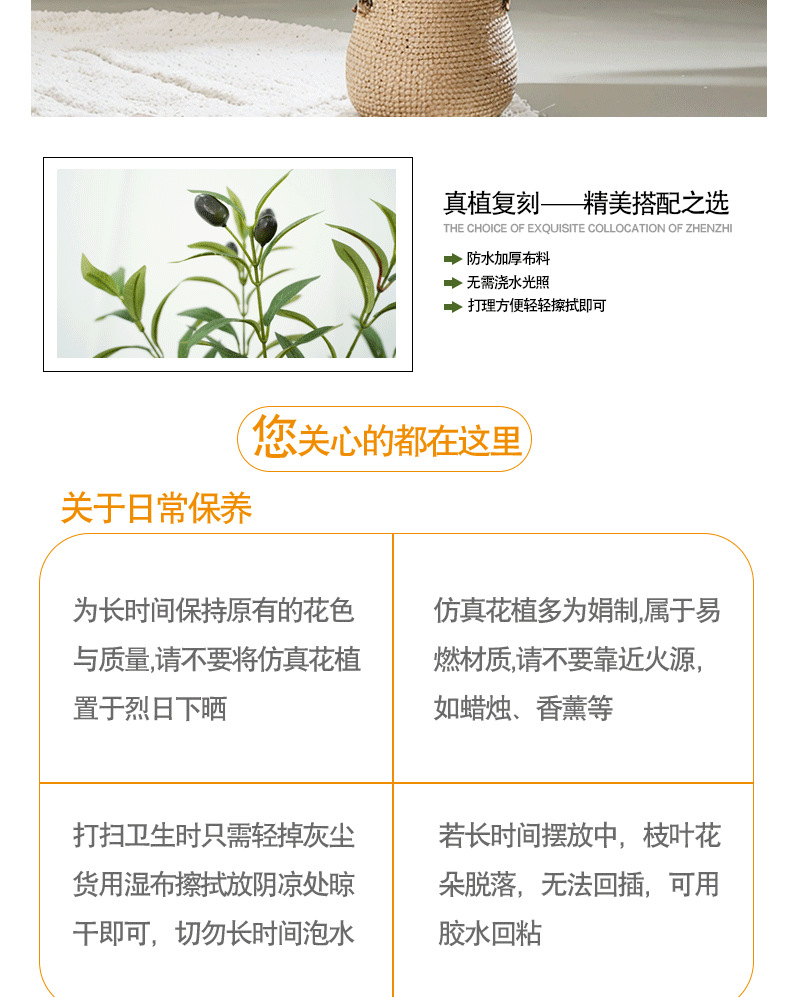 橄榄树详情页_08.png
