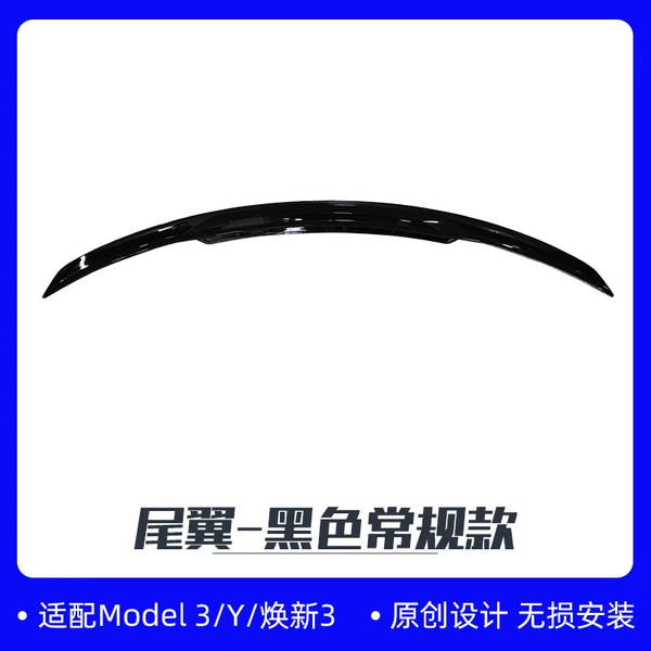 Conventional model