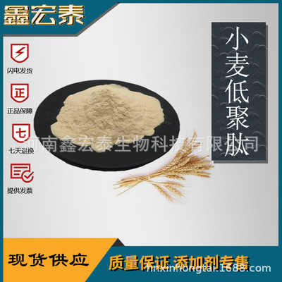 食品级 小麦低聚肽粉 小麦肽 小麦低聚肽 小麦提取物 现货供应|ms
