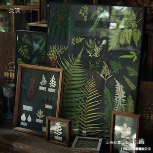 �ڵ�ާ�ֲ��˱����W�͏d�쮋�ֹ���ʽ�ڮ��b��M����̫��