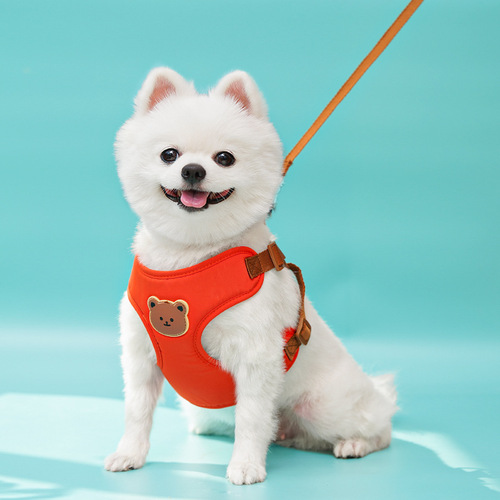 Cute bear harness can lead pet leash, small and medium-sized dogs go out, teddy bears are universal for cats