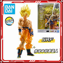 ����SHF������ϵ������������տ������ر����������� ��żģ��