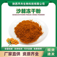 沙棘冻干粉 沙棘粉 沙棘果粉 冷冻干燥工艺 200g/袋 现货包邮