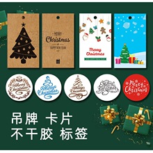 �}�Q�����R���˺������z�����N�����u����������ۺ���տ�����