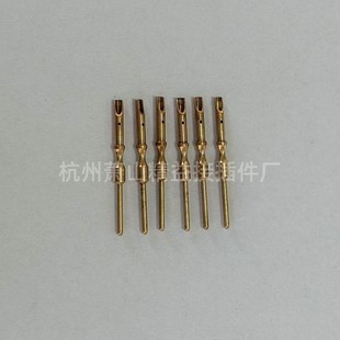 Pin 1.0