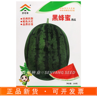 �R���S�ڷ������ϷN�ӿ������Ѵ�tȿ�������Ƥ���Ϻڹ�����һ̖