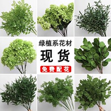 �Gɫ�Gֲ�~�ӻ�c�ٻ�����Y�쾰�G�~ɭϵ���~���l��ˇ��