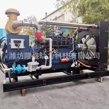 100kw燃气发电机 小型天然气发电机组/秸秆沼气发电机三相发电机