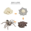 Wolf Spider Growth Cycle 29g