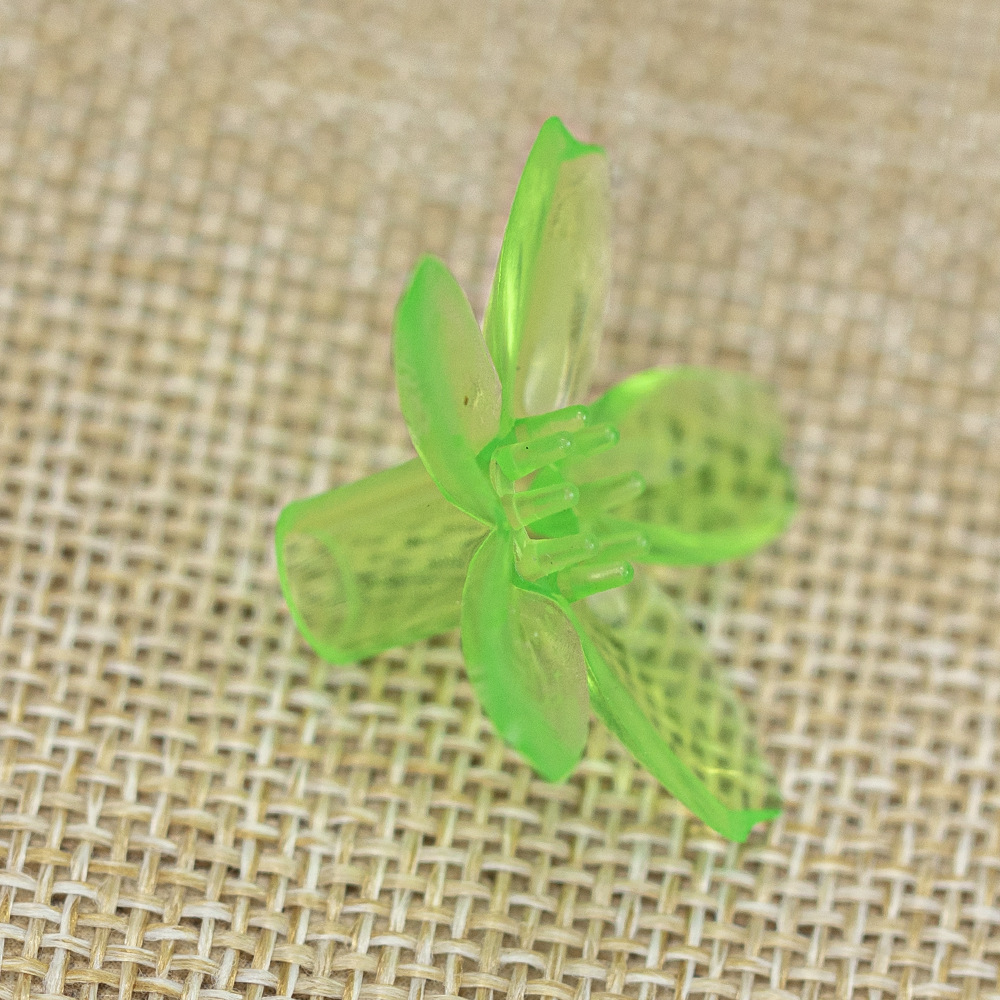 新款中樱花30 (2).jpg